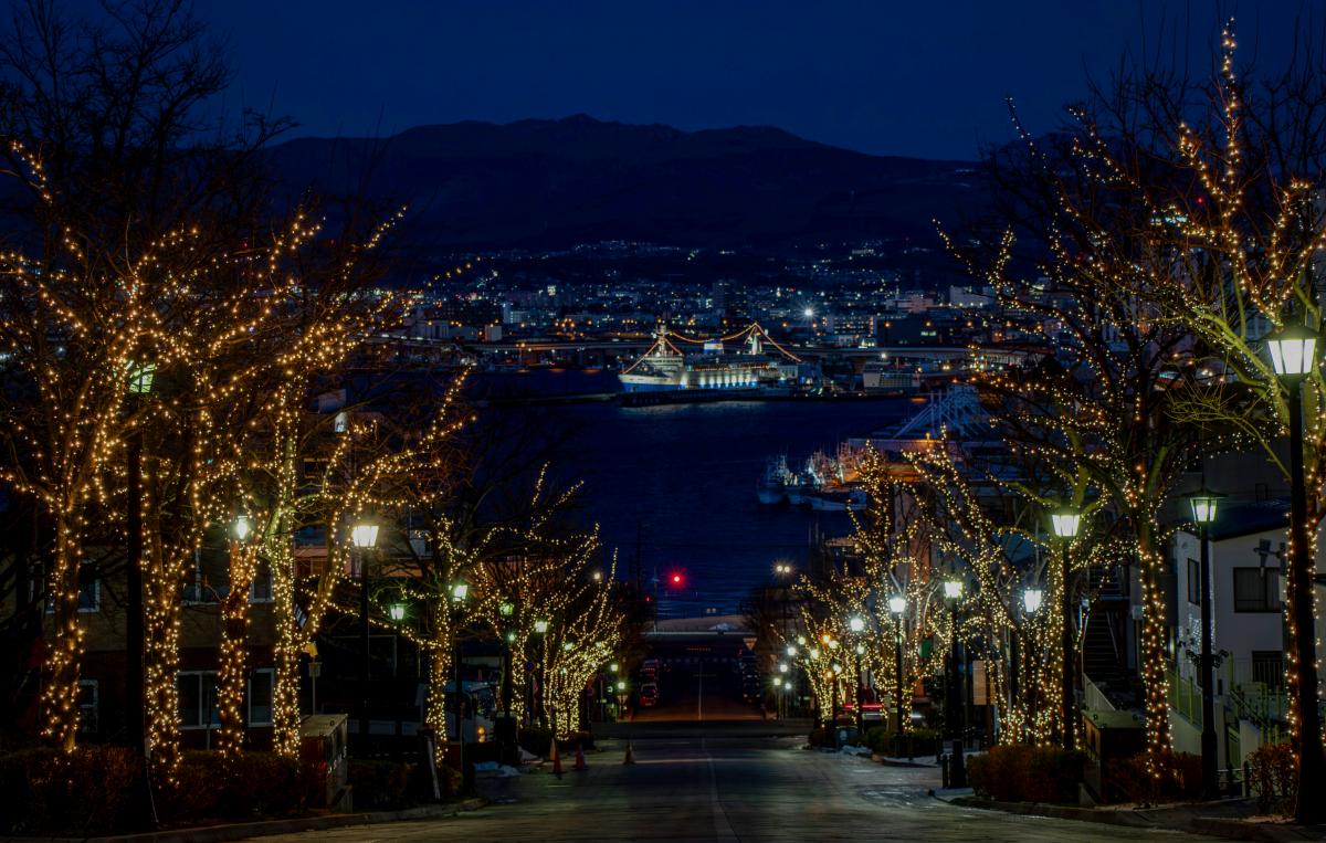 映画『ラストマン -FIRST LOVE-』_ロケ地_函館・八幡坂