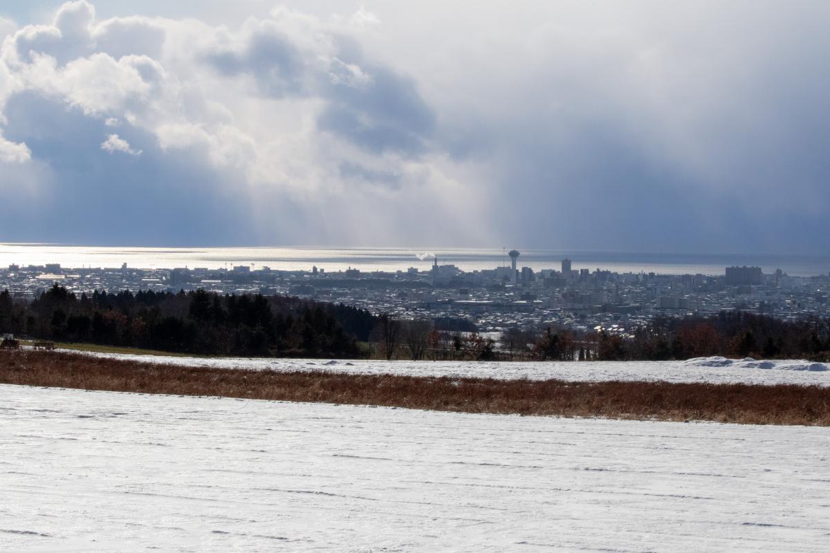映画『ラストマン -FIRST LOVE-』_ロケ地_もどきの丘